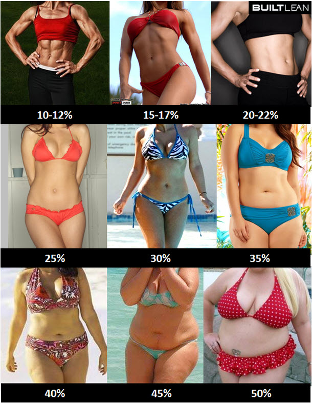 KetoDiet Buddy - Easy Macro Calculator for the Ketogenic Diet